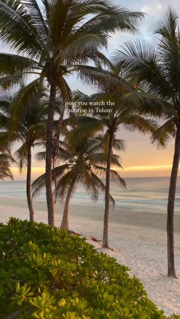 Some places change your pace.
Others change your perspective.

Sunrise in Tulum carries a kind of peace that’s difficult to explain until you experience it yourself, the sound of the ocean, the stillness of the morning, and the feeling of being connected to something slower, more intentional, more meaningful.

It’s one of the reasons so many people from around the world continue investing in Tulum. Not only because of the long-term real estate appreciation and growing luxury market, but because this lifestyle has become something people deeply value and seek for their future.

In a world moving faster every day, Tulum remains a place where nature, wellness, architecture, and investment come together.

Some investments grow your money.
Others transform the way you live.

Explore private opportunities with Deelum Concepts

#TulumRealEstate #LuxuryHomesTulum #HomeDevelopersTulum #Deelum