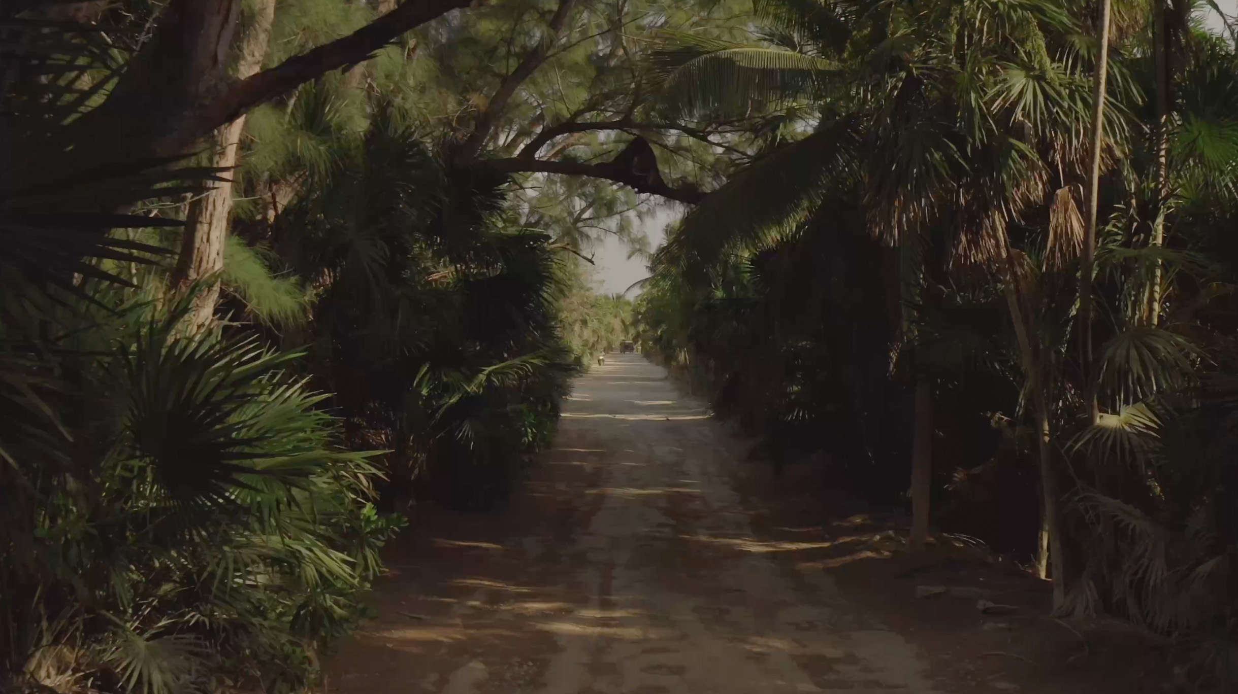 VideoCoverImage